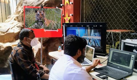 ரேஞ்சருக்காக உருவாகும் கிராபிக்ஸ் புலி