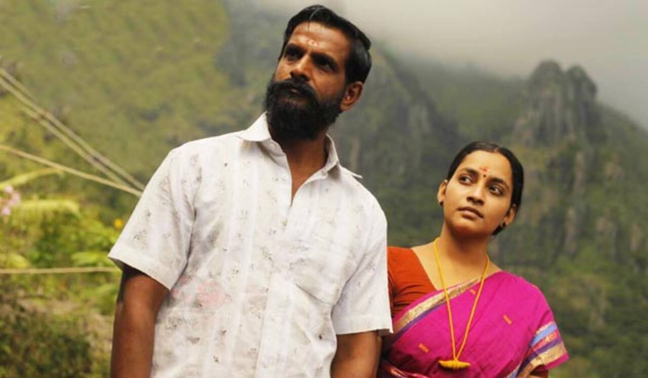தேன் படம் டிவியில் ஒளிபரப்பாகிறது