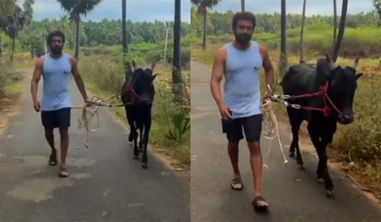 மாடு பிடித்து வந்து தமிழ் புத்தாண்டு வாழ்த்து தெரிவித்த சூர்யா