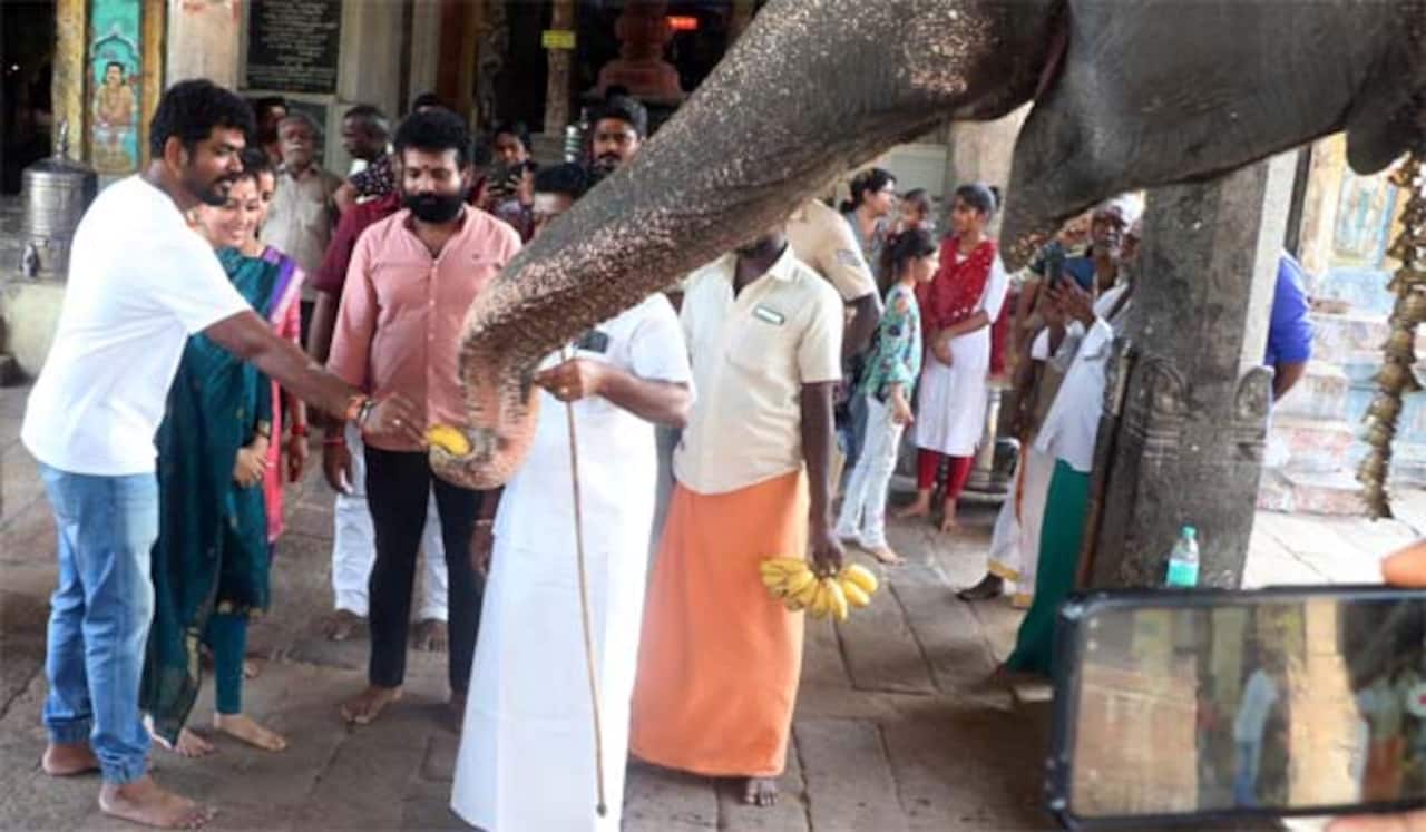 குலதெய்வ கோவிலில் பொங்கல் வைத்து நயன்தாரா - விக்னேஷ் சிவன் வழிபாடு
