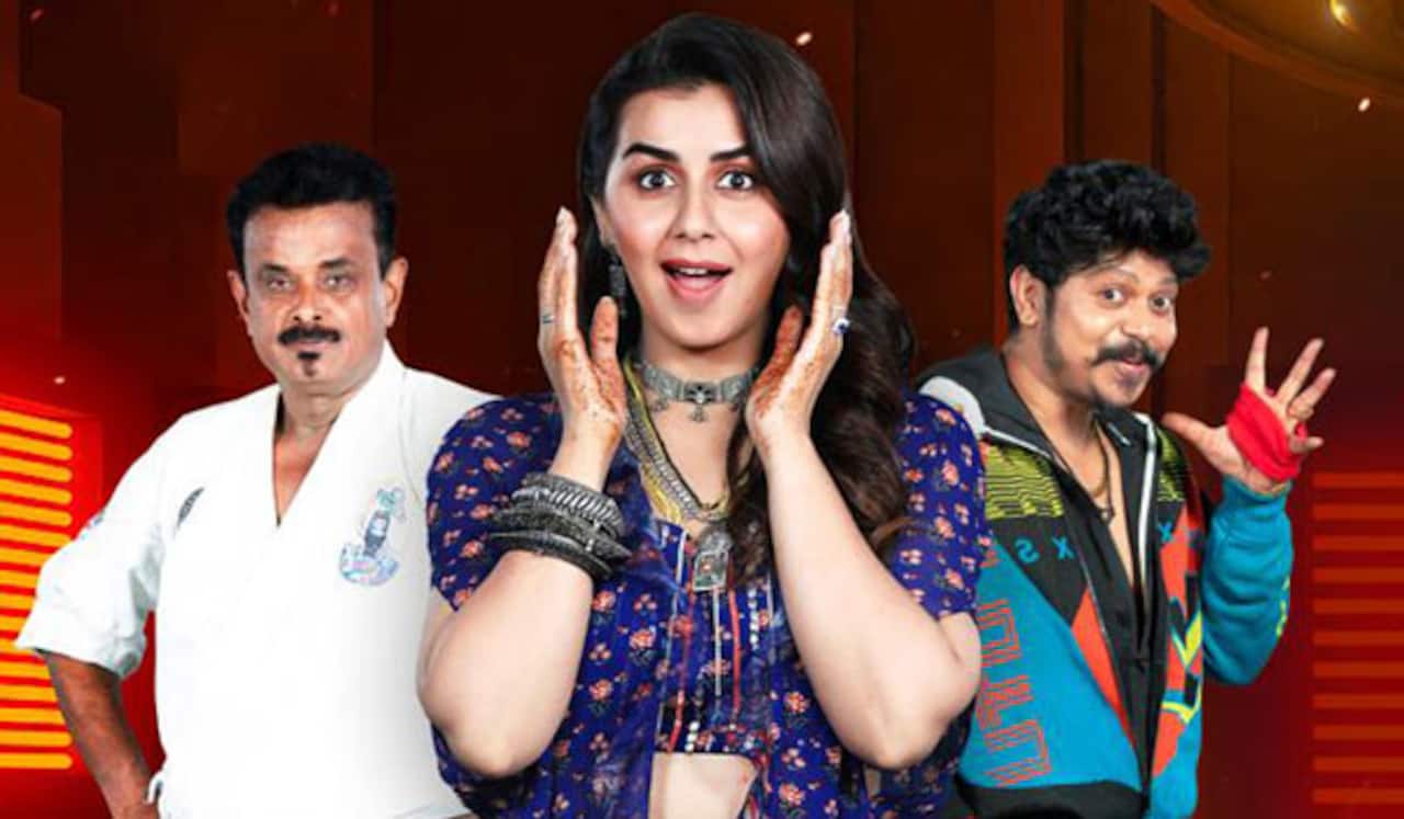 டிவியில் நடுவர் ஆனார் நிக்கி கல்ராணி