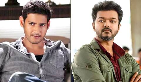 விஜய் 66 படத்தில்  மகேஷ்பாபு?