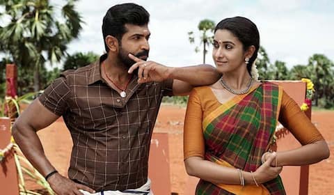 தணிக்கை குழுவிடம் கேளுங்கள்: யானைக்கு தடை கேட்ட மனு தள்ளுபடி