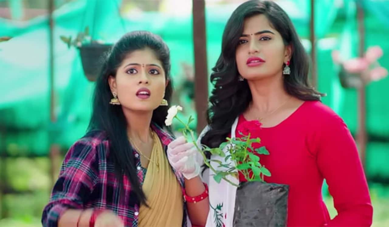 திருமதி.ஹிட்லர் சீரியலின் ஹீரோயின் என்ன செய்கிறார் தெரியுமா?