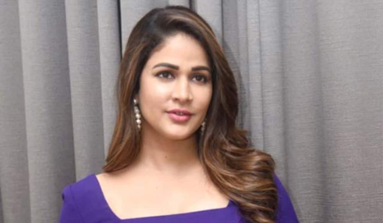 மெகா குடும்ப வாரிசு நடிகருடன் காதலா ? லாவண்யா திரிபாதி மறுப்பு