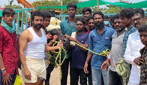 சூர்யா - வெற்றிமாறனின் வாடிவாசல் டிசம்பரில் தொடங்குகிறது!