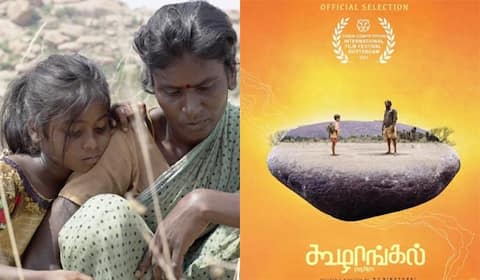 கூழாங்கல்லுக்கு புதுச்சேரி அரசு விருது