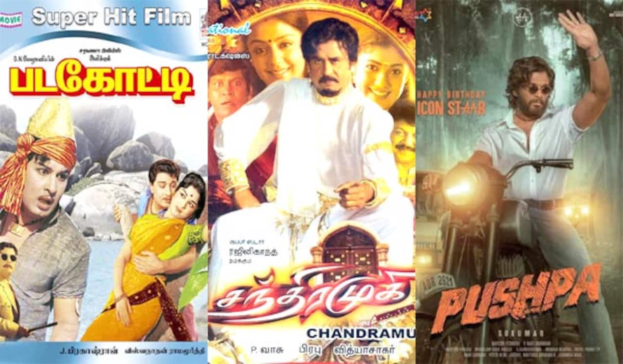 படகோட்டி, சந்திரமுகி, புஷ்பா : ஞாயிறு திரைப்படங்கள்