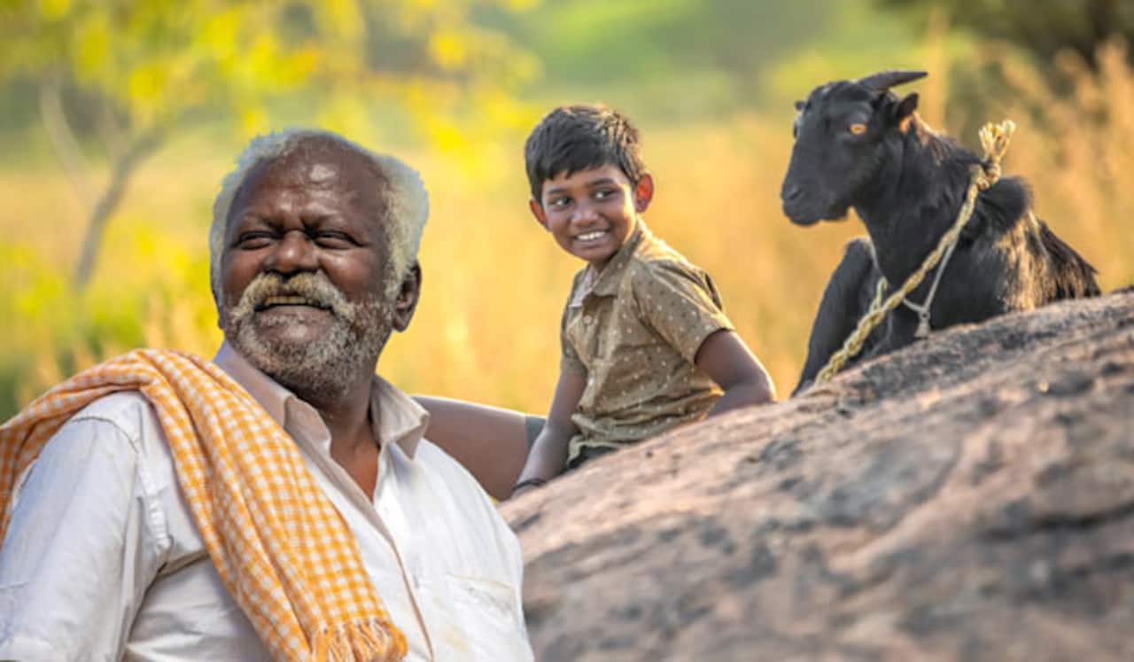 தாத்தா, பேரன் உறவைச் சொல்லும் கிடா