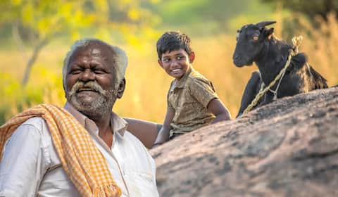 தாத்தா, பேரன் உறவைச் சொல்லும் கிடா