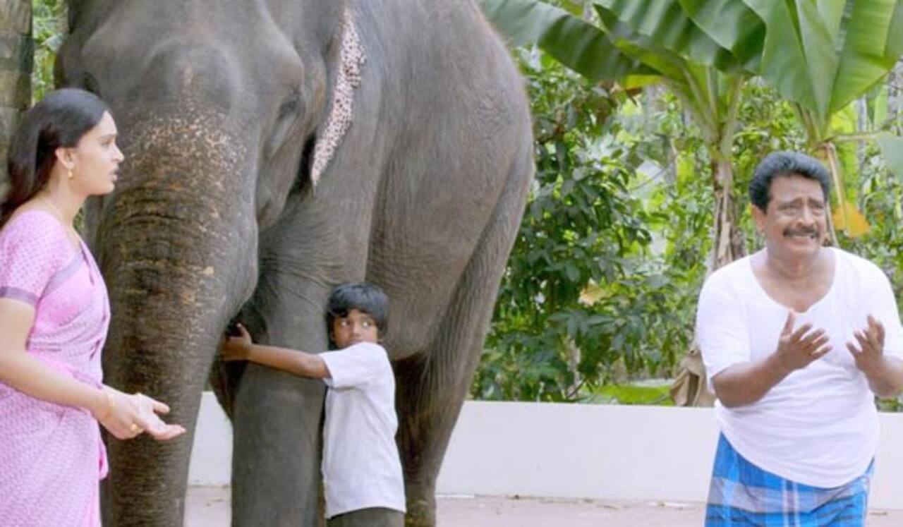 ராதா கிருஷ்ணா டிவியில் ஒளிபரப்பாகிறது