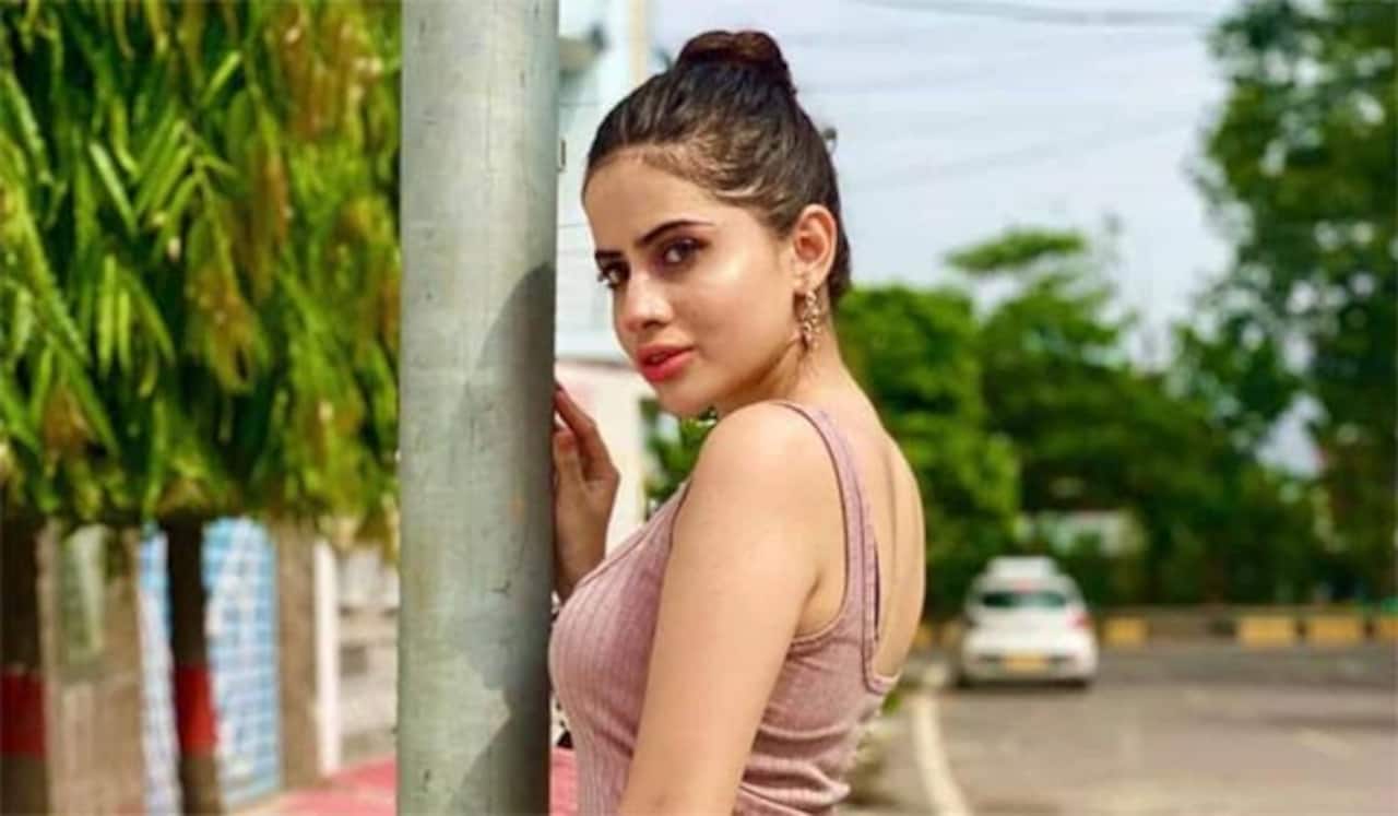 பொது இடத்தில் ஆபாச போஸ்: பாலிவுட் நடிகை உர்பி துபாயில் கைது