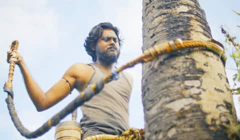 பனையேறிகளின் வாழ்வியலை சொல்லும்  நெடுமி