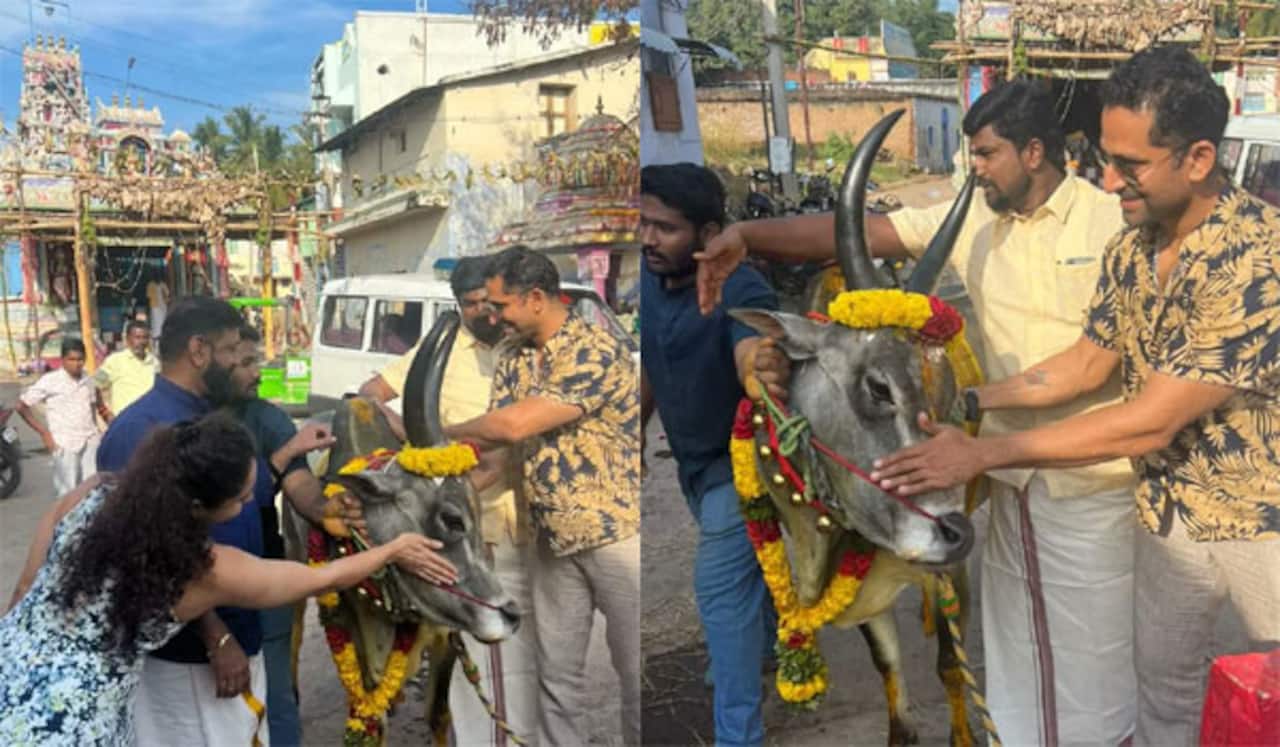 பாலமேட்டில் ஜல்லிக்கட்டை ரசித்த துணிவு வில்லன் ஜான்