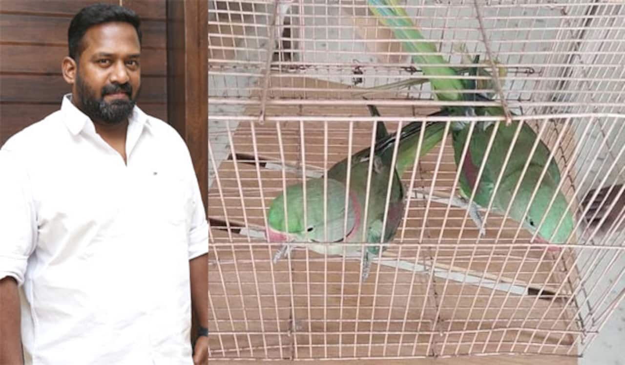 ரோபோ சங்கர் வீட்டில் கிளிகள் பறிமுதல்