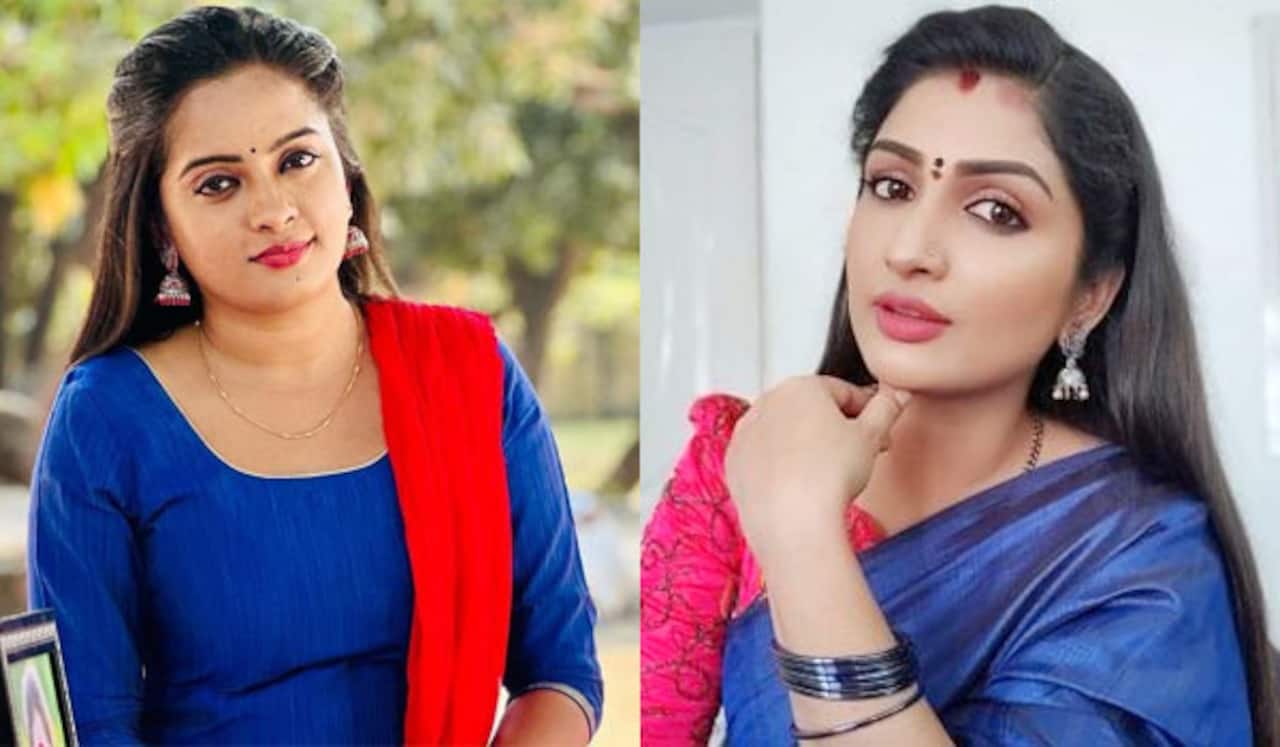 குழந்தைக்காக சீரியலை விட்டு விலகும் திவ்யா ஸ்ரீதர் : செவ்வந்தியாக இனி வாத்தி