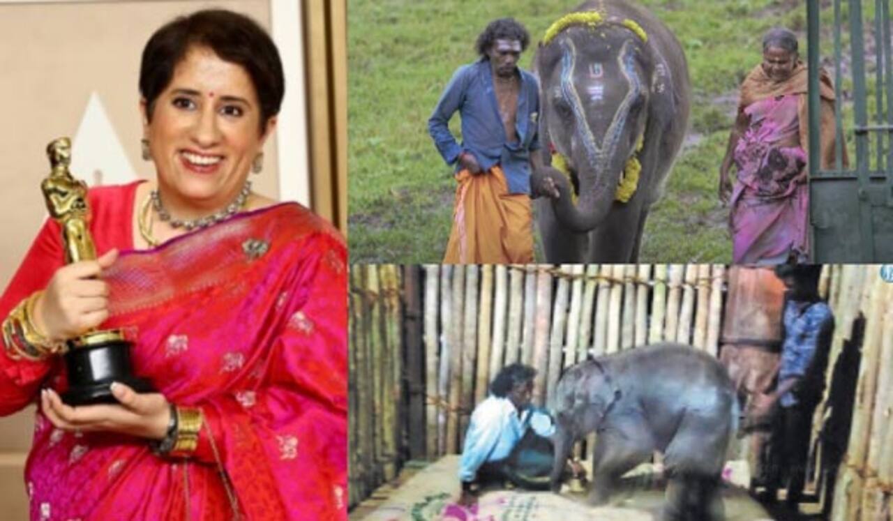 ஆஸ்கர் விருது பட நாயகனிடம் ஒப்படைக்கப்பட்ட தர்மபுரி யானைக்குட்டி