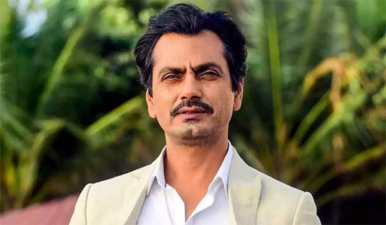 பெரிய பட்ஜெட் படங்களால் சினிமாவுக்கு ஆபத்து: நவாசுதீன் சித்திக் சொல்கிறார்