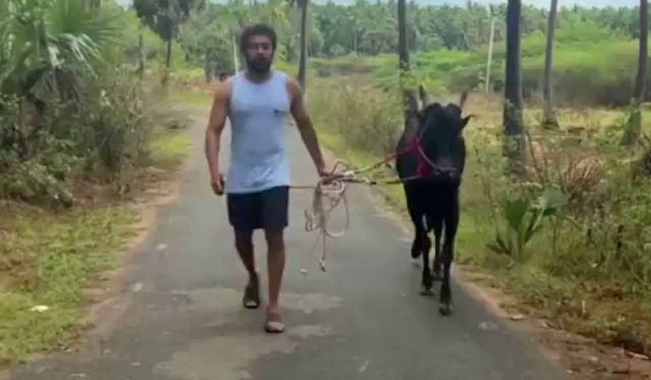ஜல்லிக்கட்டு தீர்ப்பு : மகிழ்ச்சியும் பெருமையும் - சூர்யா டுவீட்