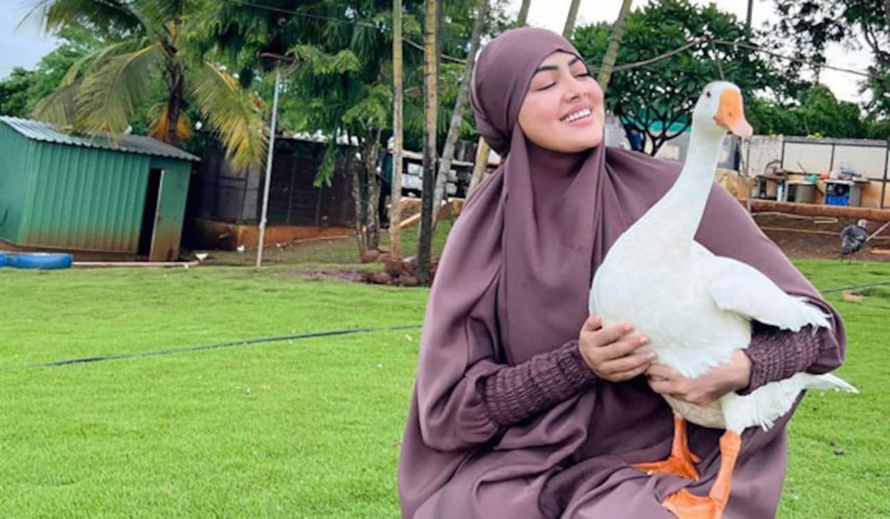 அம்மா ஆனார் சனா கான்