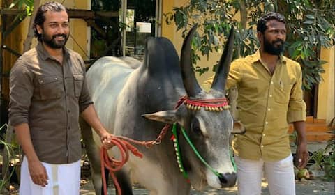 சூர்யாவின் வாடிவாசல் பணிகளை தொடங்கிய வெற்றிமாறன்