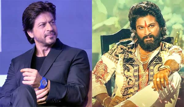 புஷ்பா படத்தை மூன்று நாட்களில் மூன்று முறை பார்த்த ஷாரூக் - Shah Rukh ...