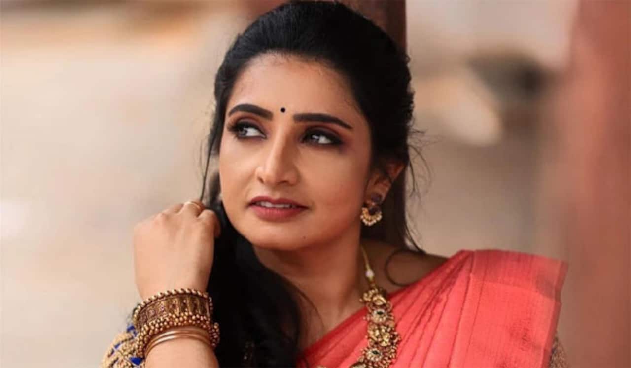 புது தொடரில் பாண்டியன் ஸ்டோர்ஸ் தனம்