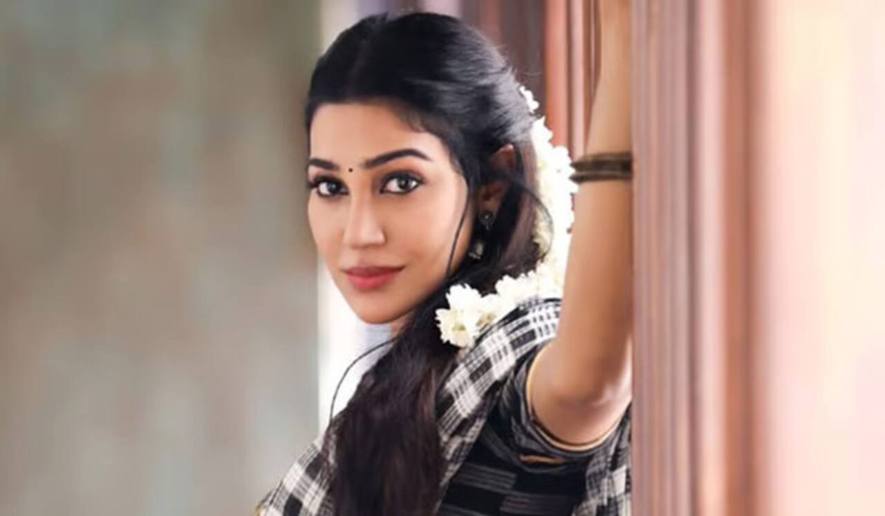 ஷெரினாவுக்கு பாலியல் தொல்லை, கொலை மிரட்டல் : 2 பேர் சிறையில் அடைப்பு