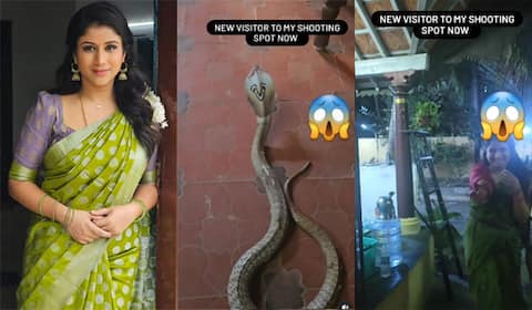 ஷூட்டிங் ஸ்பாட்டில் வந்த நல்ல பாம்பு : அலறிய ஆல்யா