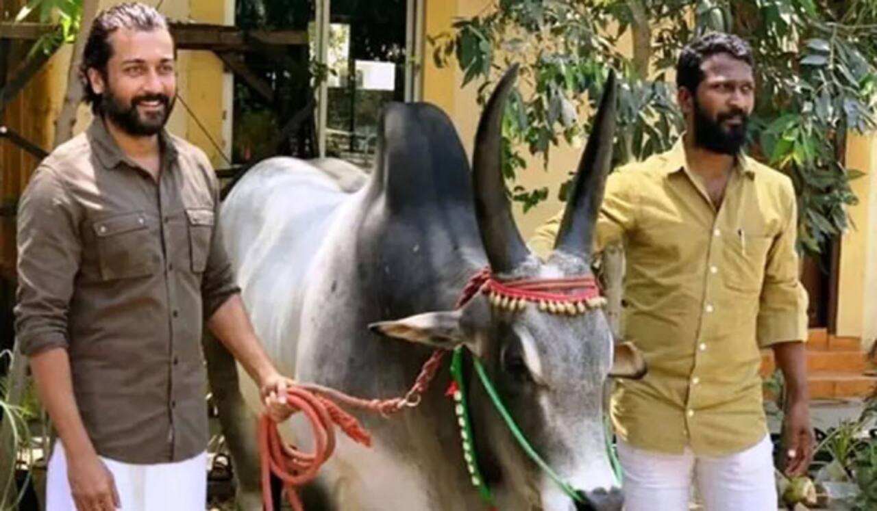 வாடிவாசல் கைவிடப்படவில்லை : அப்டேட் கொடுத்த வெற்றி மாறன்