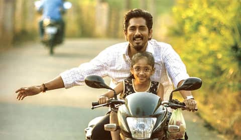 ‛அனிமல்-ஐ பார்ப்பவர்கள் ‛சித்தா-வை பார்க்க முடியவில்லையா : சித்தார்த்