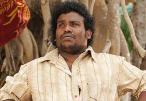 புதையலை தேடி அலையும் யோகிபாபு