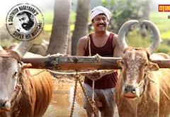டிவியில் நேரடியாக வெளியாகும் 8வது படம் வெள்ளை யானை