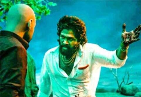 ஹிந்தியில் 100 கோடி வசூலைக் கடந்த புஷ்பா