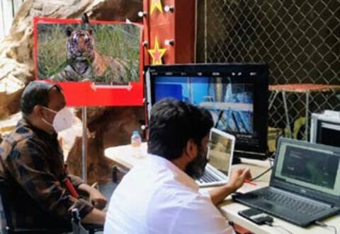 ரேஞ்சருக்காக உருவாகும் கிராபிக்ஸ் புலி