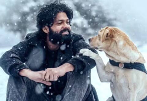 சார்லி 777 பட லாபத்தை பகிர்ந்தளித்த ரக்ஷித் ஷெட்டி