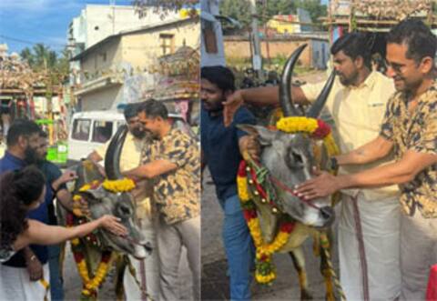 பாலமேட்டில் ஜல்லிக்கட்டை ரசித்த துணிவு வில்லன் ஜான்