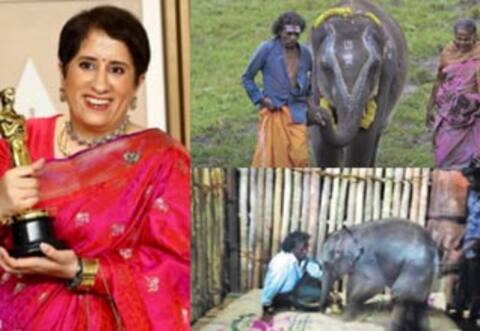 ஆஸ்கர் விருது பட நாயகனிடம் ஒப்படைக்கப்பட்ட தர்மபுரி யானைக்குட்டி