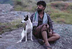 கேரள அரசியல்வாதிகள், தமிழக தொழிலாளர்கள் மோதலை சொல்லும் அலங்கு