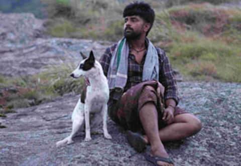 கேரள அரசியல்வாதிகள், தமிழக தொழிலாளர்கள் மோதலை சொல்லும் அலங்கு