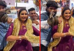 மலைபாம்புடன் கெத்துக்காட்டும் மைனா நந்தினி!
