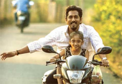 ‛அனிமல்-ஐ பார்ப்பவர்கள் ‛சித்தா-வை பார்க்க முடியவில்லையா : சித்தார்த்