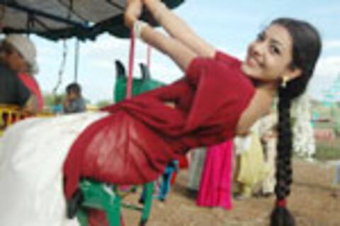 மச்சக்காளை