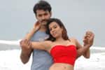 Tamil New Film