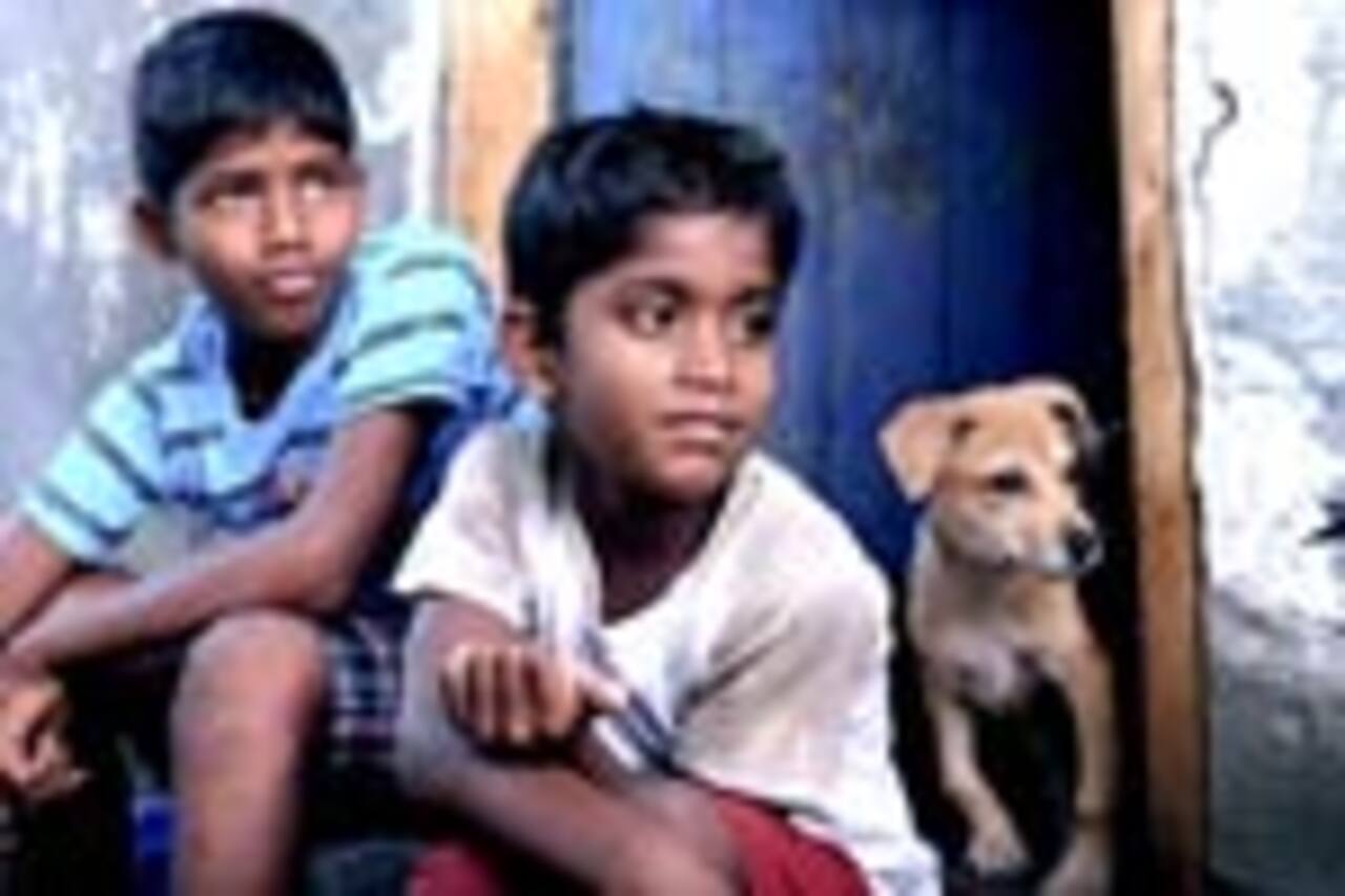 காக்கா முட்டை