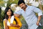 போக்கிரி மன்னன்,Pokkiri Mannan