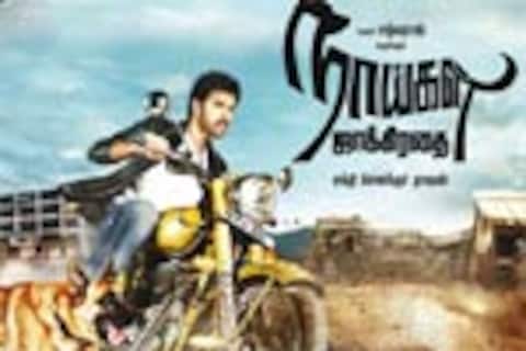 நாய்கள் ஜாக்கிரதை