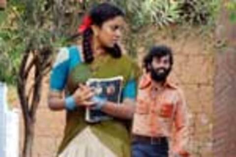 போர் குதிரை