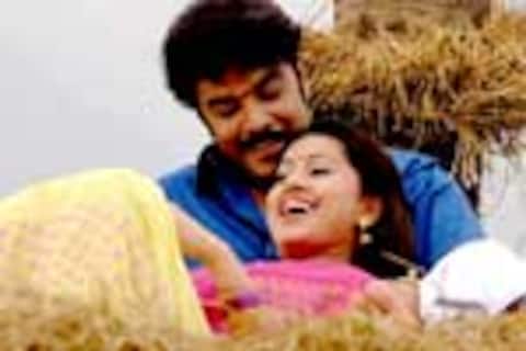 முரட்டு காளை