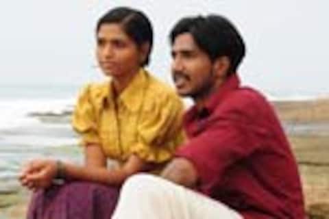 நீர்ப்பறவை